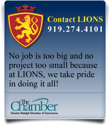 Contact Lions